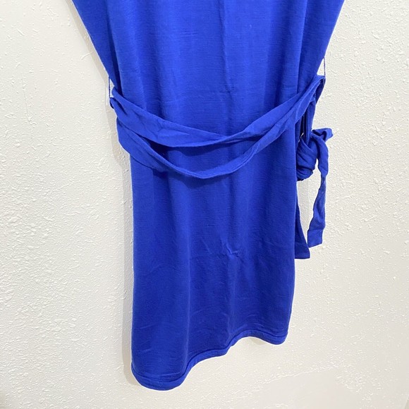Icebreaker Womens Villa Dress Merino Wool Pullover Sleeveless V-Neck Blue Size M - Picture 11 of 11